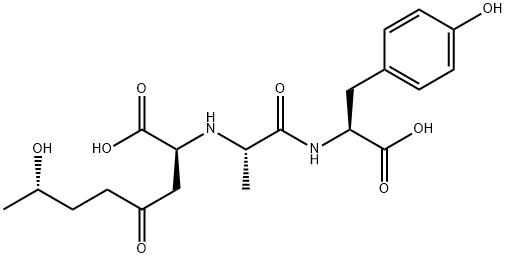 WF 10129 Struktur