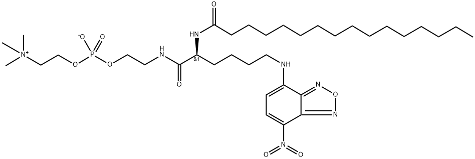 PC 16 Struktur