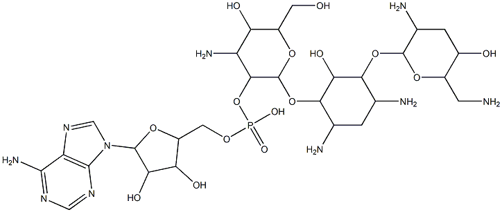 2''-(adenosine-5'-phosphoryl)tobramycin Struktur