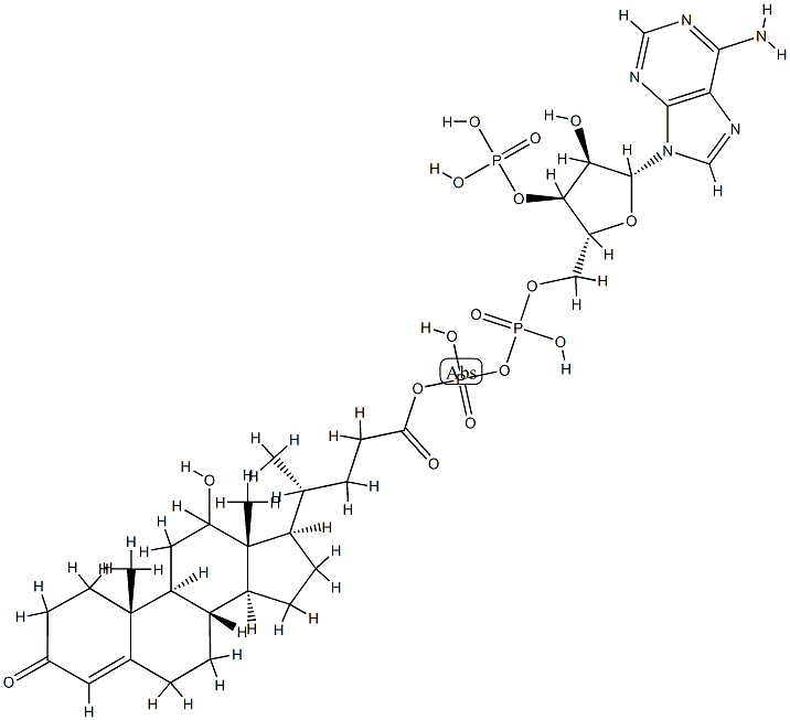 24-(12-hydroxy-3-oxo-4-cholenoyl-5'phospho)-3'phosphoadenosine Struktur