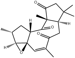 citlalitrione Struktur