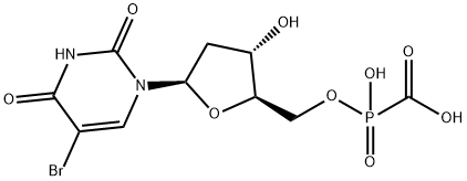 Budr-pfa Struktur