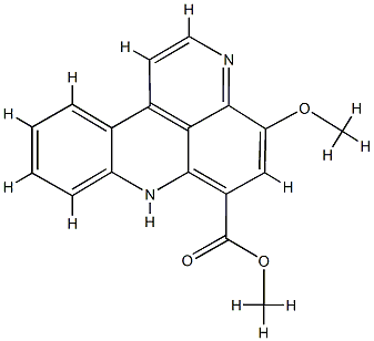 norsegoline Struktur