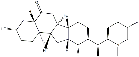 ningpeisine Struktur