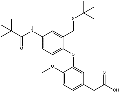 AM-461 Struktur