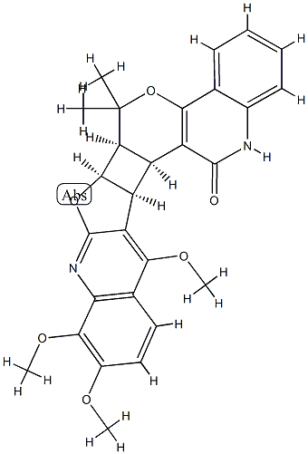 Haplodimerine Struktur