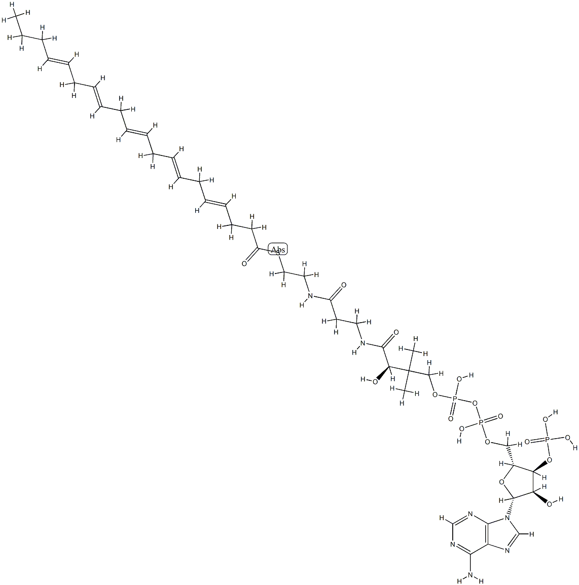 eicosapentaenoic acid-coenzyme A Struktur