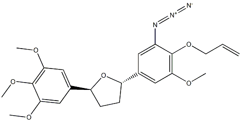 L 662025 Struktur