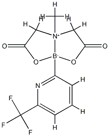 6-Trifluomethyl-2-pyridinylboronic
acid MIDA ester Struktur