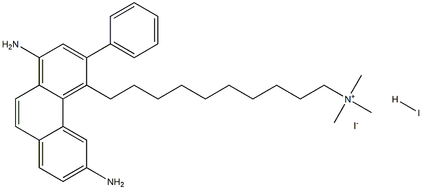 decidium Struktur