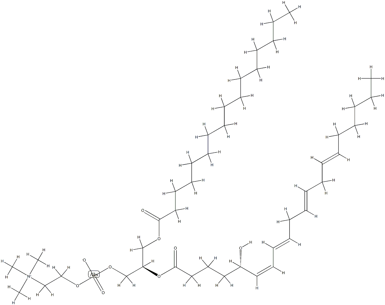 1-palmitoyl-2-(5-hydroxy-6,8,11,14-eicosatetraenoyl)-glycero-3-phosphocholine Struktur