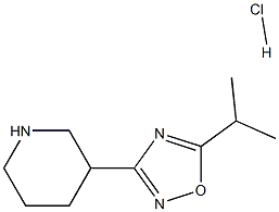 Piperidine, 3-[5-(1-methylethyl)-1,2,4-oxadiazol-3-yl]-, hydrochloride (1:1) Struktur