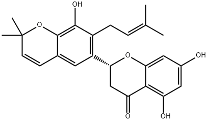 sigmoidin F Struktur