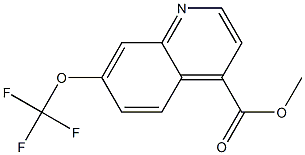 7-trifluoromethoxy-quinoline-4-carboxylic acid methyl ester Struktur