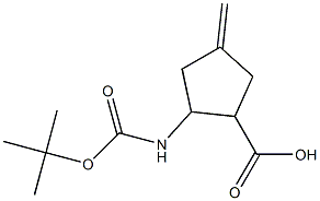 2-tert-Butoxycarbonylamino-4-methylene-cyclopentanecarboxylic acid Struktur