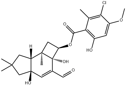 armillarinin Struktur