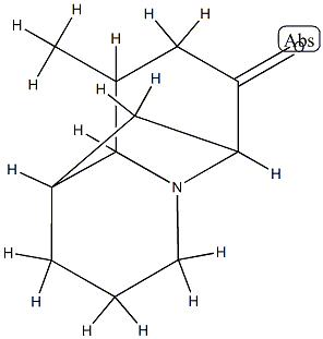 1,6-Methano-2H-quinolizin-7(6H)-one,hexahydro-9-methyl-,(1-alpha-,6-alpha-,9-bta-,9a-bta-)-(9CI) Struktur