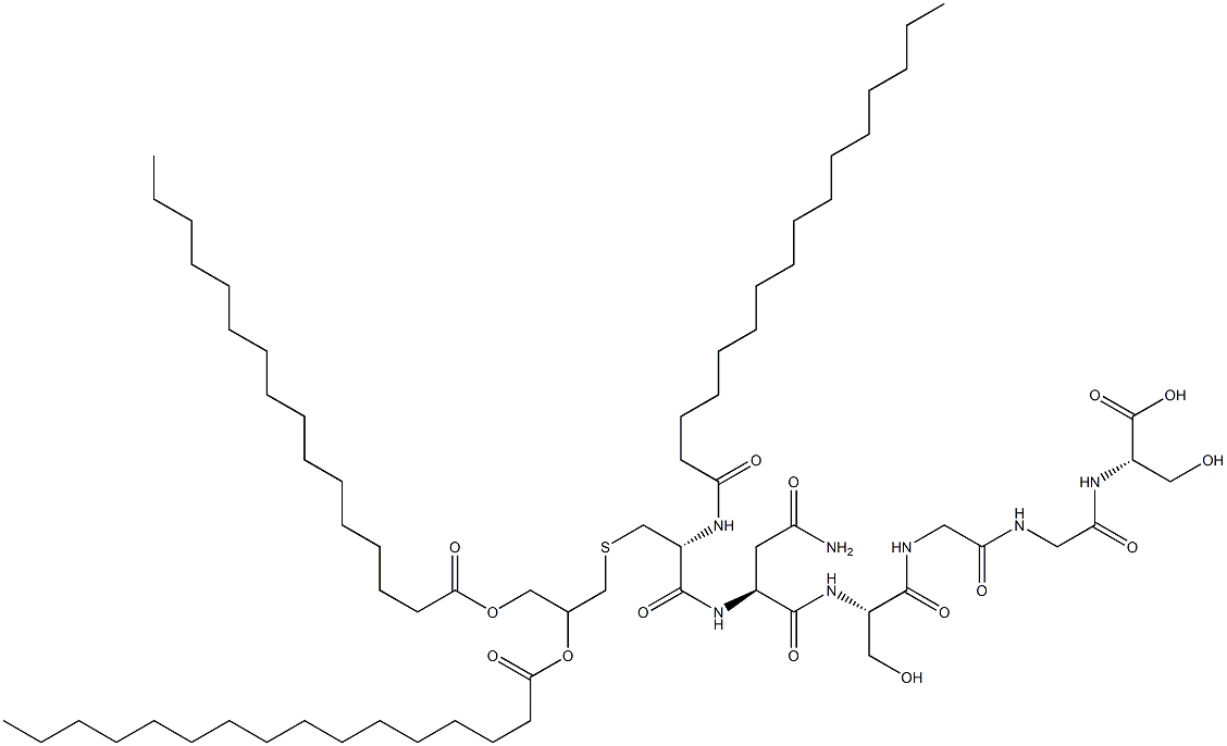 WS 1279 Struktur