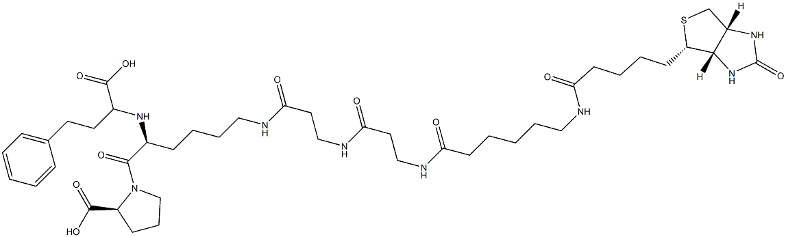 BL 19 Struktur