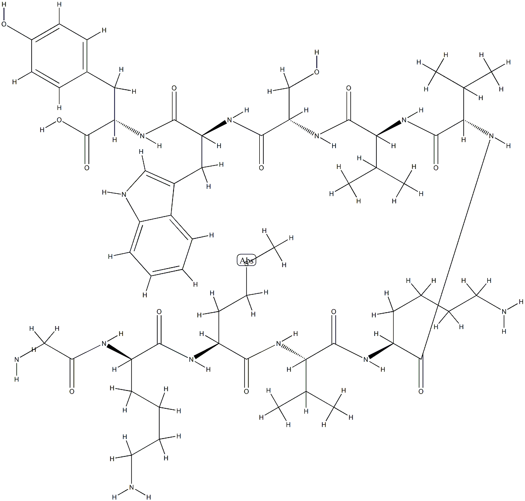 glyceraldehyde 3-phosphate dehydrogenase (304-313) Struktur