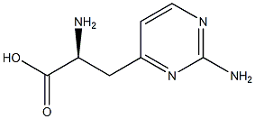 L-Lathyrine Struktur