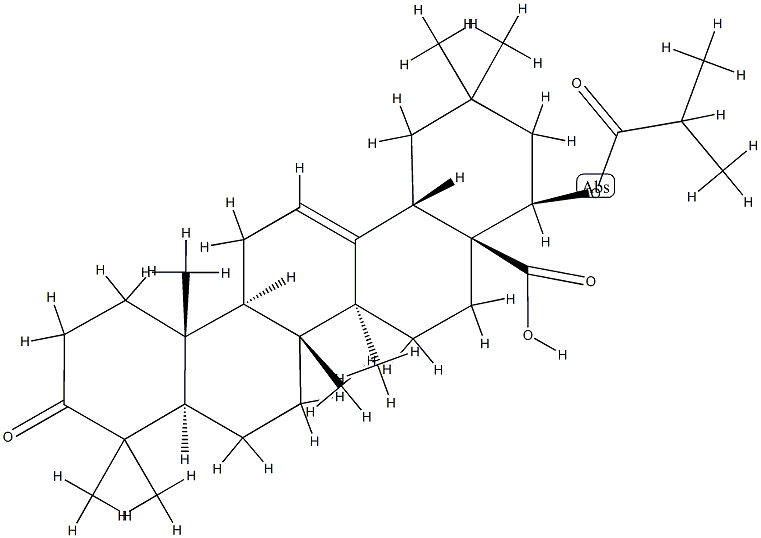 22β-(Isobutyryloxy)-3-oxooleana-12-ene-28-oic acid Struktur