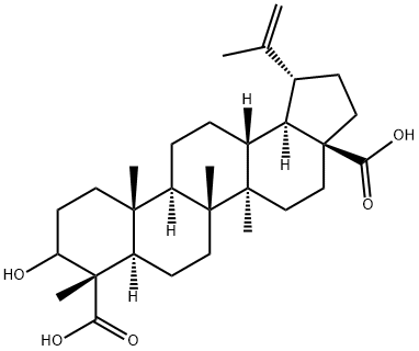 3-hydroxylup-20(29)en-23,28-dioic acid Struktur