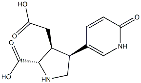 (2S)-2α-Carboxy-4β-[(2-oxo-1,2-dihydropyridin)-5-yl]pyrrolidine-3β-acetic acid Struktur