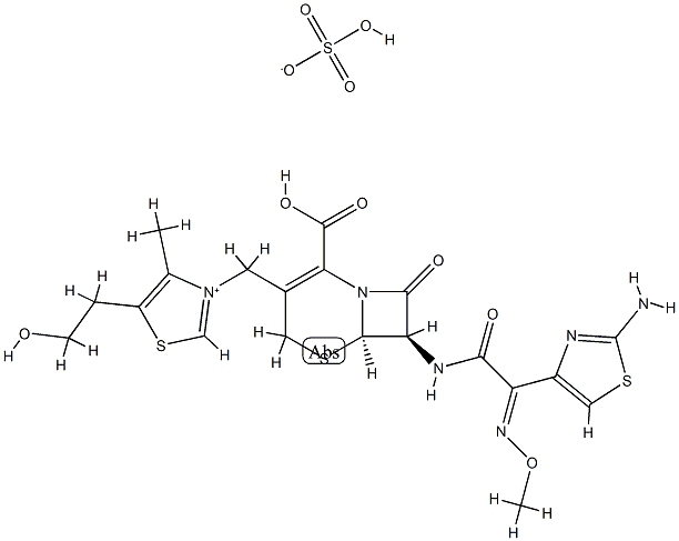 CS 461 Struktur