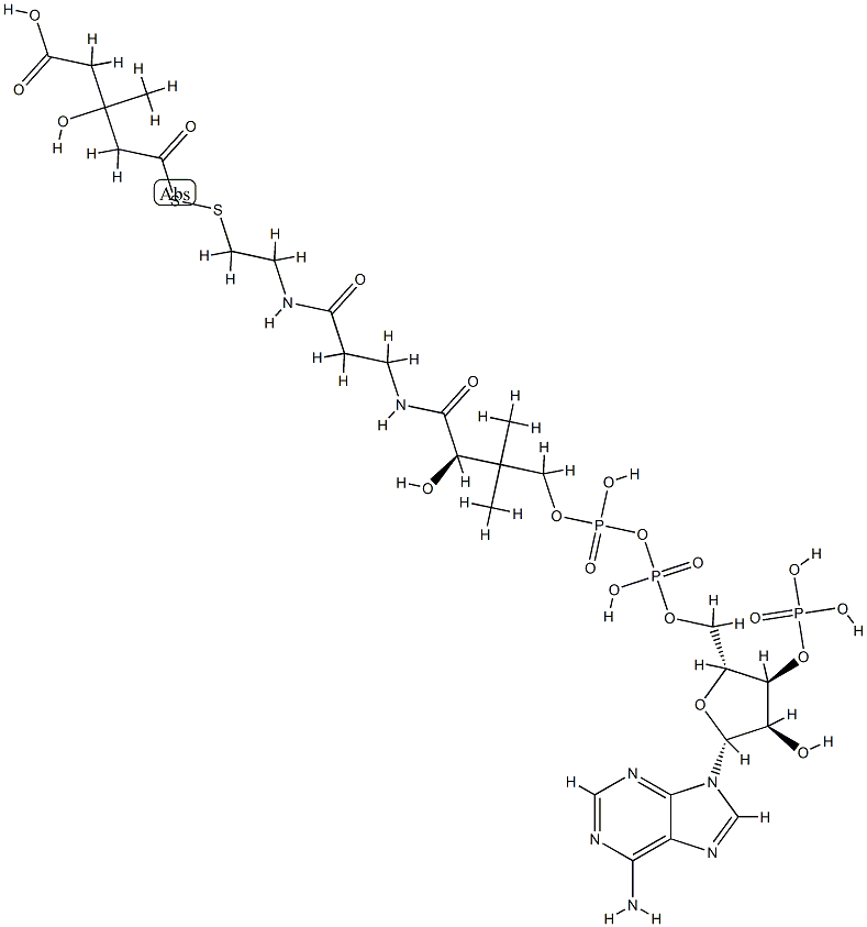 3-hydroxy-3-methylglutaryldithio-coenzyme A Struktur