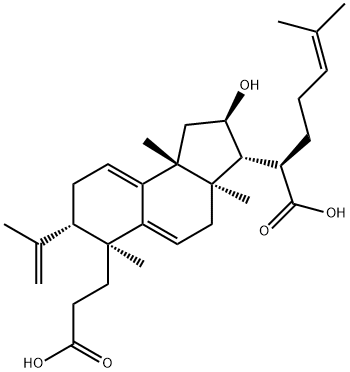 poricoic acid B Struktur