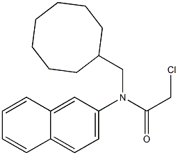 2-chloro-N-(cyclooctylmethyl)-N-(naphthalen-2-yl)acetamide Struktur