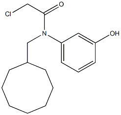 2-chloro-N-(cyclooctylmethyl)-N-(3-hydroxyphenyl)acetamide Struktur