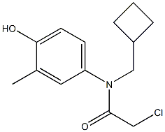 2-chloro-N-(cyclobutylmethyl)-N-(4-hydroxy-3-methylphenyl)acetamide Struktur