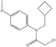 2-chloro-N-(cyclobutylmethyl)-N-(4-methoxyphenyl)acetamide Struktur