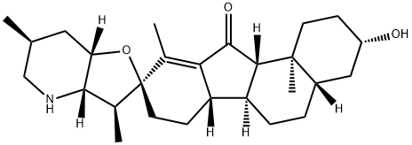 songbaisine Struktur