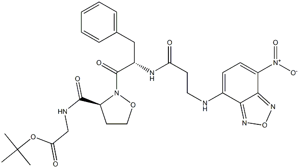 S 4404 Struktur