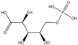 ANADOL Struktur