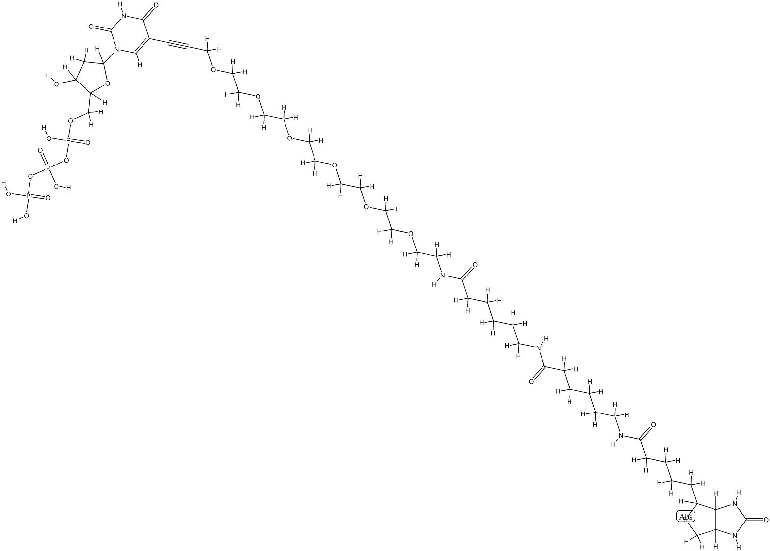 [[[5-[2,4-dioxo-5-[3-[2-[2-[2-[2-[2-[2-[6-[6-[5-(7-oxo-3-thia-6,8-diaz abicyclo[3.3.0]oct-2-yl)pentanoylamino]hexanoylamino]hexanoylamino]eth oxy]ethoxy]ethoxy]ethoxy]ethoxy]ethoxy]prop-1-ynyl]pyrimidin-1-yl]-3-h ydroxy-oxolan-2-yl]methoxy-hydroxy-phosphoryl]oxy-hydroxy-phosphoryl]o xyphosphonic acid Struktur