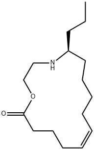 epilachnene Struktur