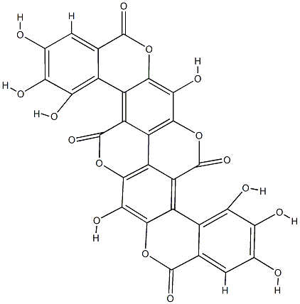 terminalin Struktur