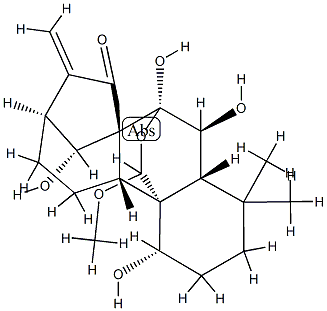 Rabdoternin F|牛尾草素 F