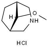 (8-syn)-8-methoxy-3-azabicyclo[3.2.1]octane hydrochloride Struktur