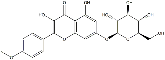 7-[(β-D-Glucopyranosyl)oxy]-3,5-dihydroxy-4'-methoxyflavone Struktur