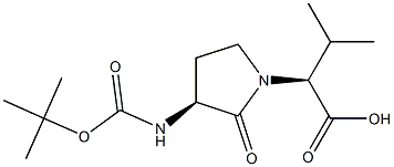 N-BOC-FREIDINGER'S LACTAM Struktur