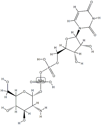 UDP-glucosamine Struktur