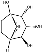 Calystegine B3 Struktur