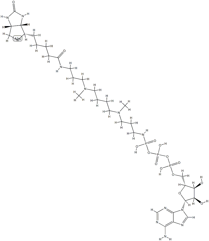 ATP-polyamine-biotin Struktur