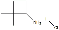 Cyclobutanamine, 2,2-dimethyl-, hydrochloride (1:1) Struktur