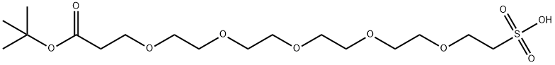 t-Butoxycarbonyl-PEG5-sulfonic acid Struktur